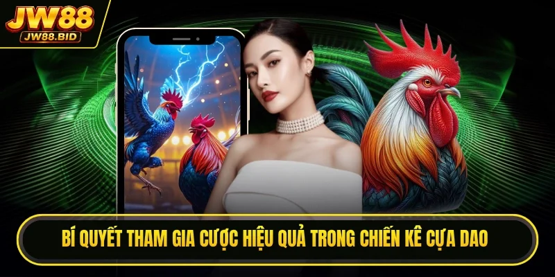 Bí quyết tham gia cược hiệu quả trong chiến kê cựa dao Bí quyết tham gia cược hiệu quả trong chiến kê cựa dao