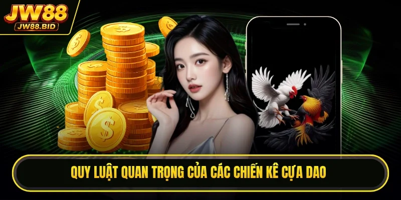 Quy luật quan trọng của các chiến kê cựa dao Quy luật quan trọng của các chiến kê cựa dao