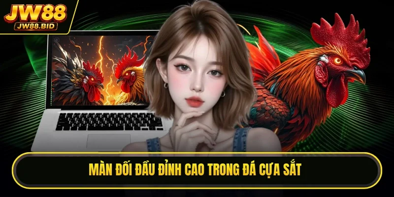 Màn đối đầu đỉnh cao trong đá cựa sắt Màn đối đầu đỉnh cao trong đá cựa sắt