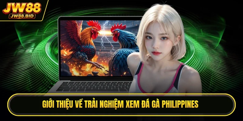 Giới thiệu về trải nghiệm xem đá gà Philippines Giới thiệu về trải nghiệm xem đá gà Philippines